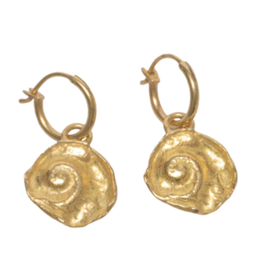 Shell earrings